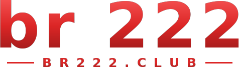 br 222 logo